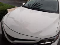20201002_141914.jpg