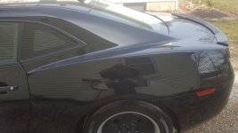 tn_Turtle Waxed 2.jpg