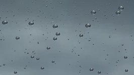 IMG_0728.jpeg