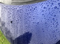 E45FAD39-F303-4DF1-9104-8162A5466CF6.jpeg