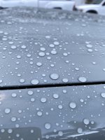 IMG_2059.JPG