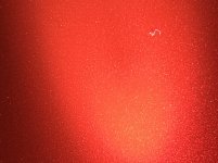 D81BCF2E-8158-4DAF-9B6E-CEDF68C3065F.jpeg