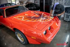 Pontiac-Trans-AM-PPF-Wrap-Polish.jpeg