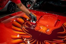 Pontiac-Trans-AM-PPF-Wrap-coat.jpeg