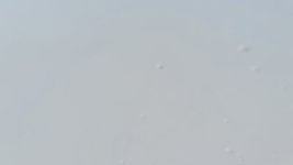 20240205_143223.jpg