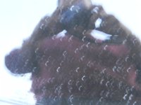 DSCN1117.JPG
