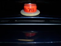 100_8274.jpg