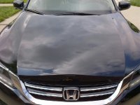 IMG-20130601-00178.jpg