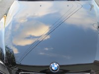IMG_0295.JPG