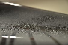 ImageUploadedByTapatalk1370562698.883716.jpg