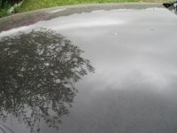 IMG_0235.JPG