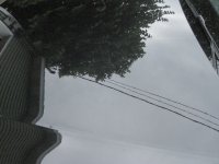 IMG_0593.JPG