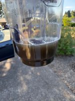 IMG_4267.jpeg