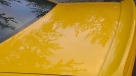 clean spoiler.jpg