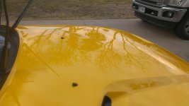 hood reflection trees.jpg