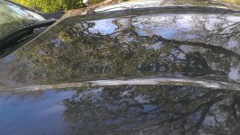 hood reflection close.jpg