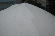 IMG_0984.JPG