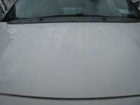 IMG_0987.JPG