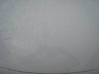 IMG_0989.JPG