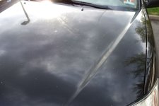 DSC00222.JPG