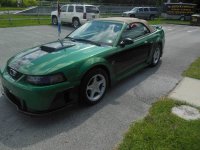 01 mustang.jpg