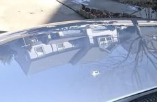 hood shine3.jpg