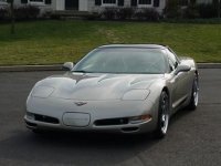 pewter vette.jpg