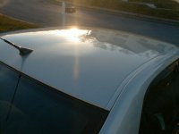 sun (100).jpg