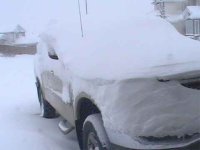 truck2.jpg.jpg