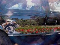 sc-lakes-redflowers.jpg