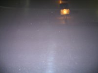 picture 250.jpg