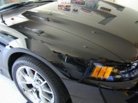 dscn1337.1.jpg