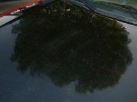scotchbrite1.jpg