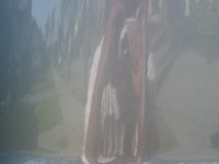 img_0320.jpg