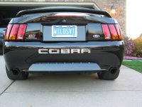 rear.jpg