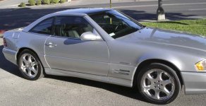 sl600.jpg