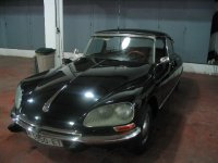 tiburon1_13_5_04_bis2.jpg