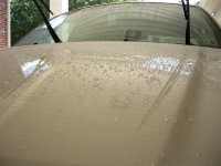 grandcherokee (4) (small).jpg