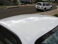 corolla_4.jpg