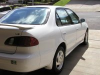 corolla_6.jpg