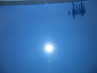 107_0703.jpg