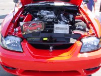 american-show-016.jpg