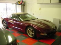 vette (small).jpg