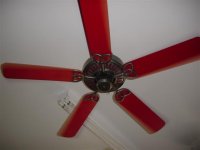 fan (small).jpg