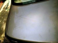 trunk before.jpg