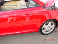 dsc00835.jpg