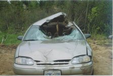 car1.jpg