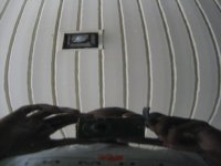 auto7.jpg