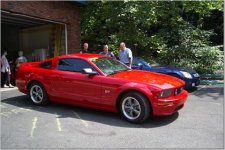 mustang3.jpg
