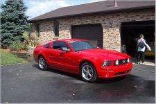 mustang4.jpg